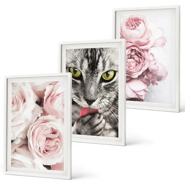 Set de 3 cuadros para salón con diseño de gato entre flores rosas