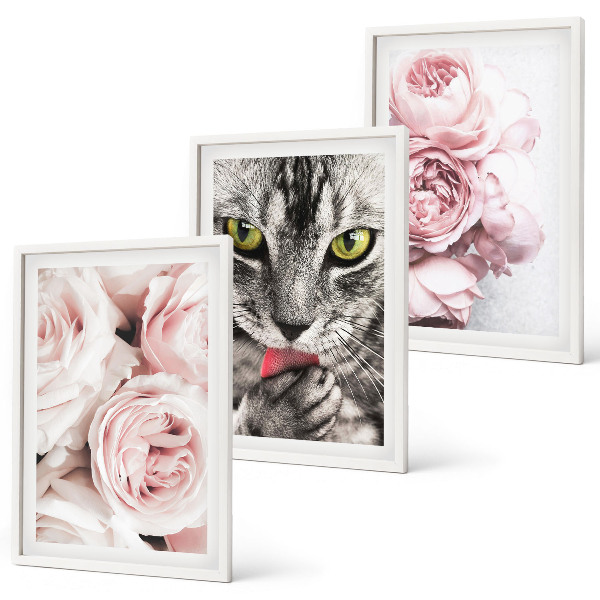 Set de 3 cuadros para salón Gato entre flores rosas