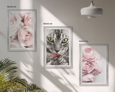 Set de 3 cuadros para salón Gato entre flores rosas