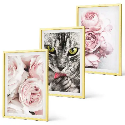 Set de 3 cuadros para salón con diseño de gato entre flores rosas