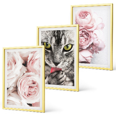 Set de 3 cuadros para salón Gato entre flores rosas