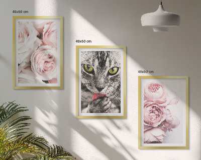 Set de 3 cuadros para salón Gato entre flores rosas