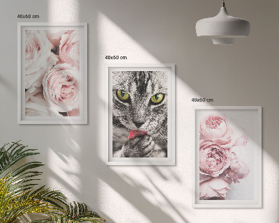 Set de 3 cuadros para salón Gato entre flores rosas