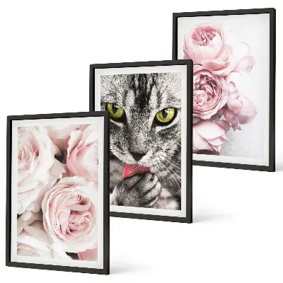 Set de 3 cuadros para salón con diseño de gato entre flores rosas