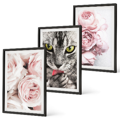 Set de 3 cuadros para salón Gato entre flores rosas