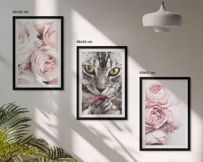 Set de 3 cuadros para salón Gato entre flores rosas