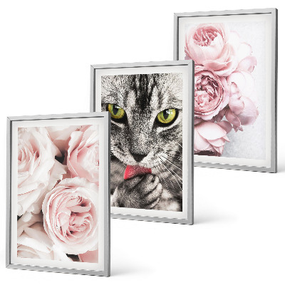 Set de 3 cuadros para salón Gato entre flores rosas