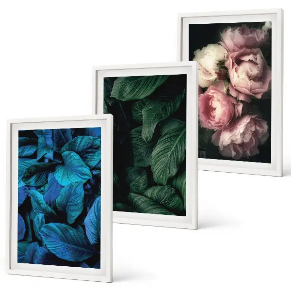Set de 3 cuadros decorativos con diseño de hojas y flores en colores variados