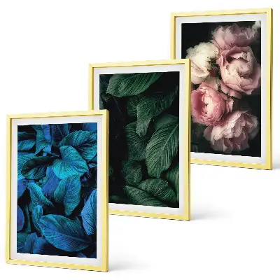 Set de 3 cuadros decorativos con diseño de hojas y flores en colores variados