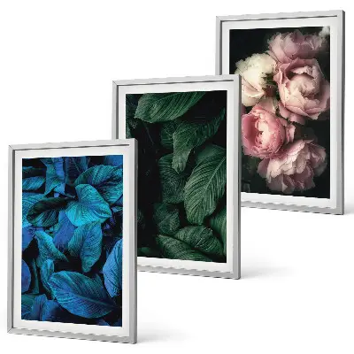 Set de 3 cuadros decorativos con diseño de hojas y flores en colores variados