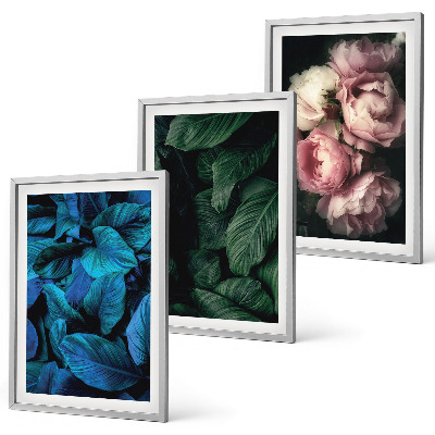 Set de 3 cuadros para salón Hojas, flores, diferentes colores