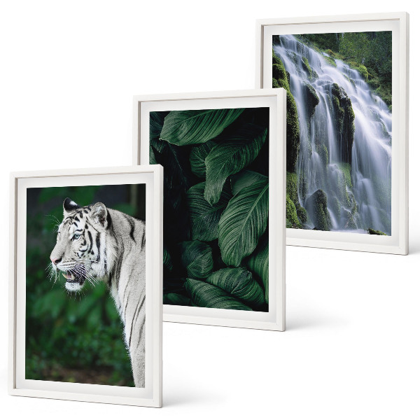 Juego de 3 cuadros El tigre blanco deja una cascada