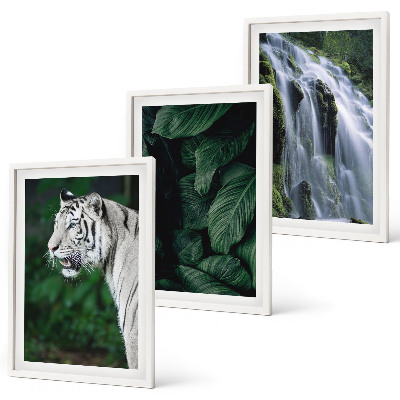 Juego de 3 cuadros El tigre blanco deja una cascada