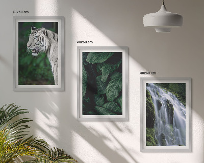 Juego de 3 cuadros El tigre blanco deja una cascada