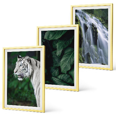 Juego de 3 cuadros El tigre blanco deja una cascada