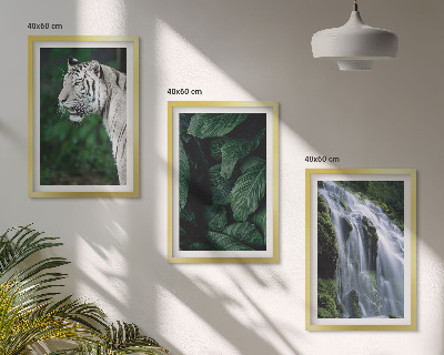 Juego de 3 cuadros El tigre blanco deja una cascada