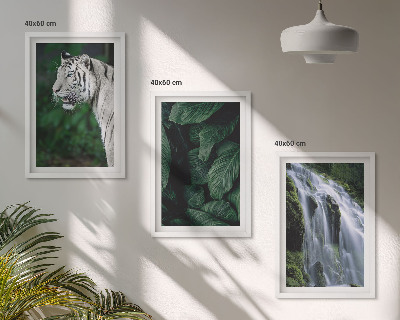 Juego de 3 cuadros El tigre blanco deja una cascada