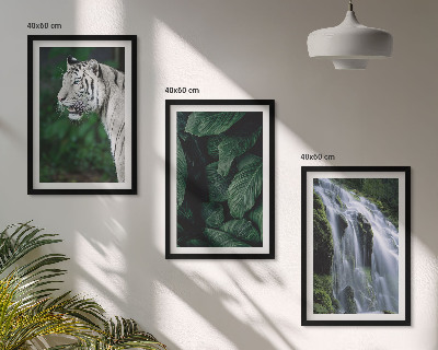 Juego de 3 cuadros El tigre blanco deja una cascada