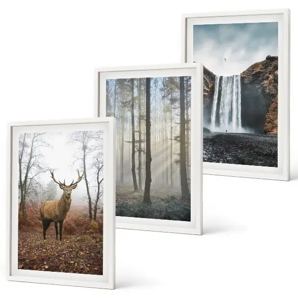 Juego de 3 cuadros paisajes de naturaleza salvaje