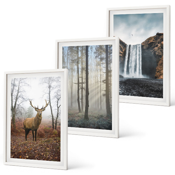 Juego de 3 cuadros Paisajes forestales, naturaleza salvaje