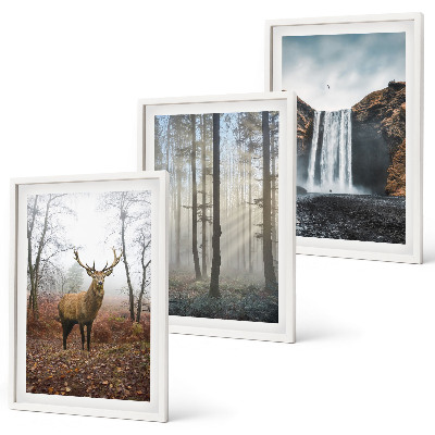 Juego de 3 cuadros Paisajes forestales, naturaleza salvaje