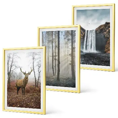 Juego de 3 cuadros paisajes de naturaleza salvaje