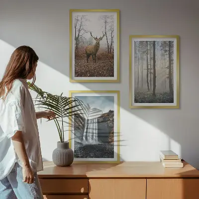 Juego de 3 cuadros paisajes de naturaleza salvaje
