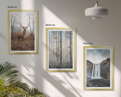 Juego de 3 cuadros Paisajes forestales, naturaleza salvaje