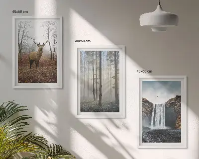 Juego de 3 cuadros paisajes de naturaleza salvaje