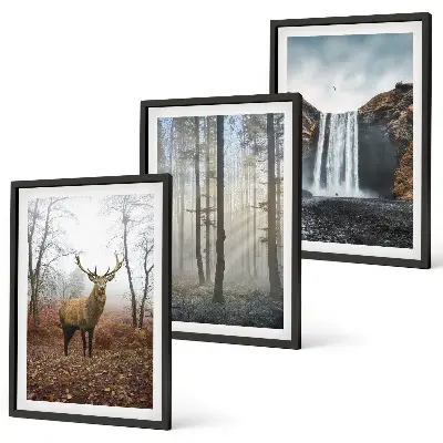 Juego de 3 cuadros paisajes de naturaleza salvaje