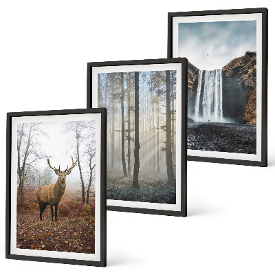 Juego de 3 cuadros Paisajes forestales, naturaleza salvaje