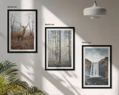 Juego de 3 cuadros paisajes de naturaleza salvaje
