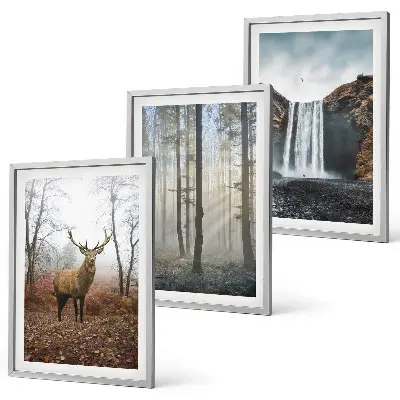 Juego de 3 cuadros paisajes de naturaleza salvaje