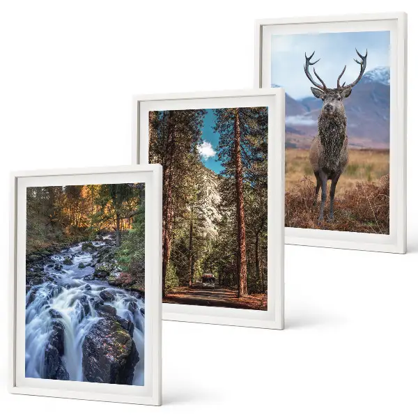 Juego de 3 cuadros con diseño de cascada, bosque, montañas y ciervo en la naturaleza