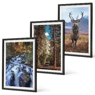 Juego de 3 cuadros con diseño de cascada, bosque, montañas y ciervo en la naturaleza
