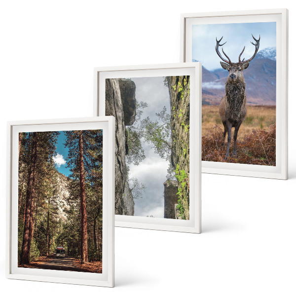 Set de 3 cuadros para salón Carretera bosque montañas ciervo naturaleza