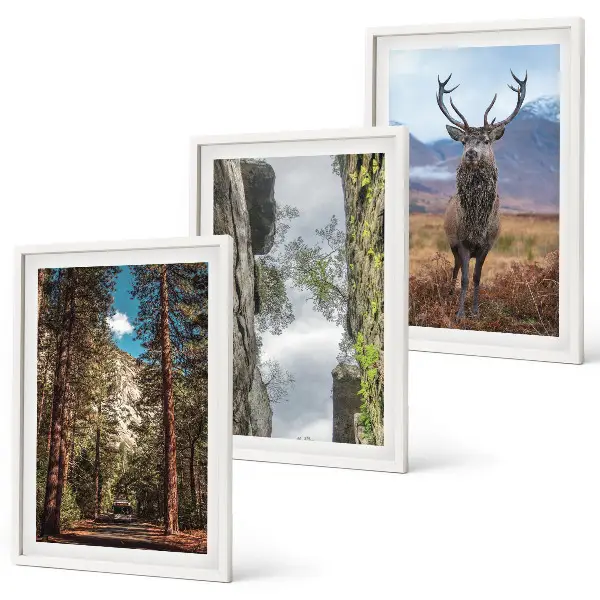 Set de 3 cuadros para salón con diseño de carretera entre bosque, montañas y ciervo