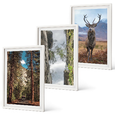 Set de 3 cuadros para salón Carretera bosque montañas ciervo naturaleza