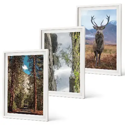 Set de 3 cuadros para salón con diseño de carretera entre bosque, montañas y ciervo