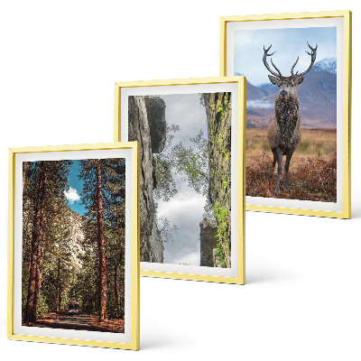 Set de 3 cuadros para salón Carretera bosque montañas ciervo naturaleza