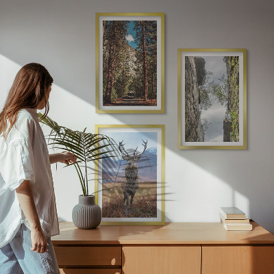 Set de 3 cuadros para salón Carretera bosque montañas ciervo naturaleza
