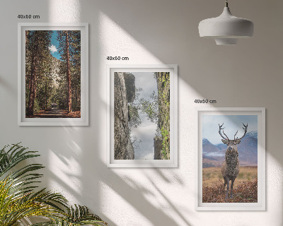 Set de 3 cuadros para salón Carretera bosque montañas ciervo naturaleza