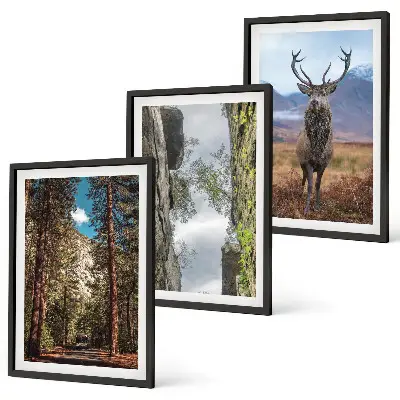 Set de 3 cuadros para salón con diseño de carretera entre bosque, montañas y ciervo