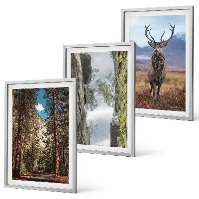 Set de 3 cuadros para salón con diseño de carretera entre bosque, montañas y ciervo