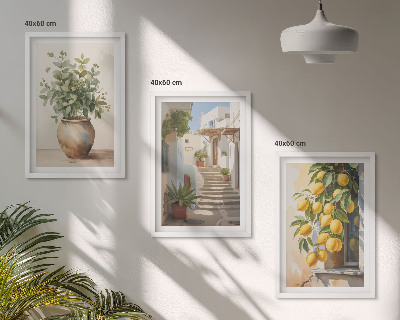 Juego de 3 cuadros Plantas en macetas, limones, calle