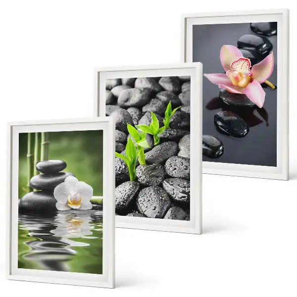 Set de 3 cuadros zen composición de flores y agua para salón