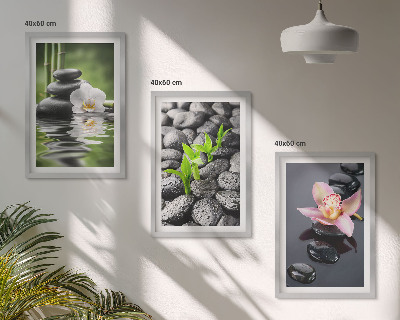 Set de 3 cuadros para salón Una tranquila composición zen de flores y agua.