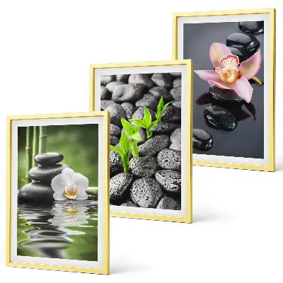 Set de 3 cuadros zen composición de flores y agua para salón