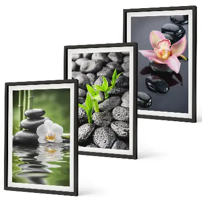 Set de 3 cuadros zen composición de flores y agua para salón