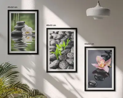 Set de 3 cuadros zen composición de flores y agua para salón